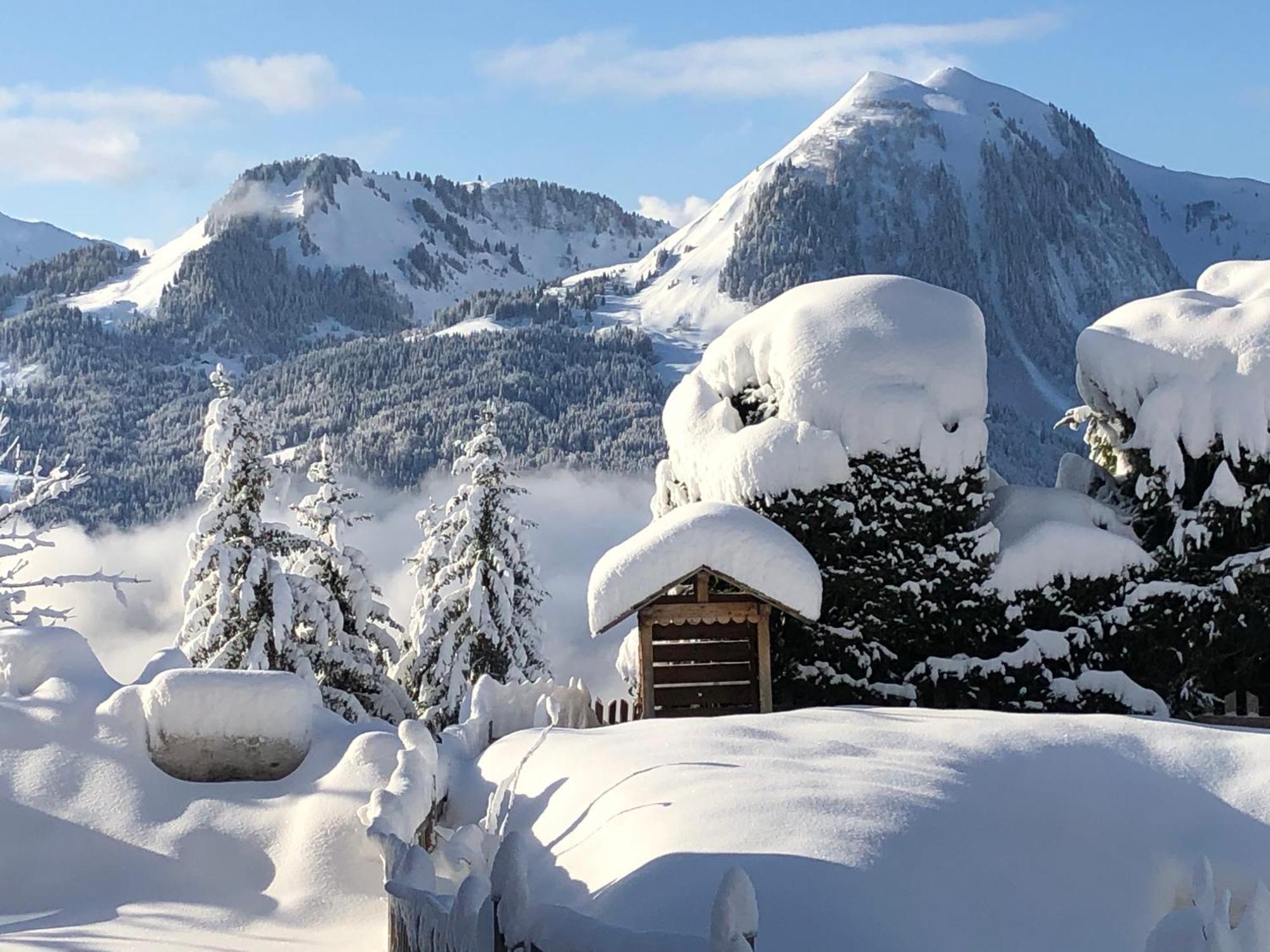 Les Chalets-Hotel De La Croix-Fry マニグード エクステリア 写真